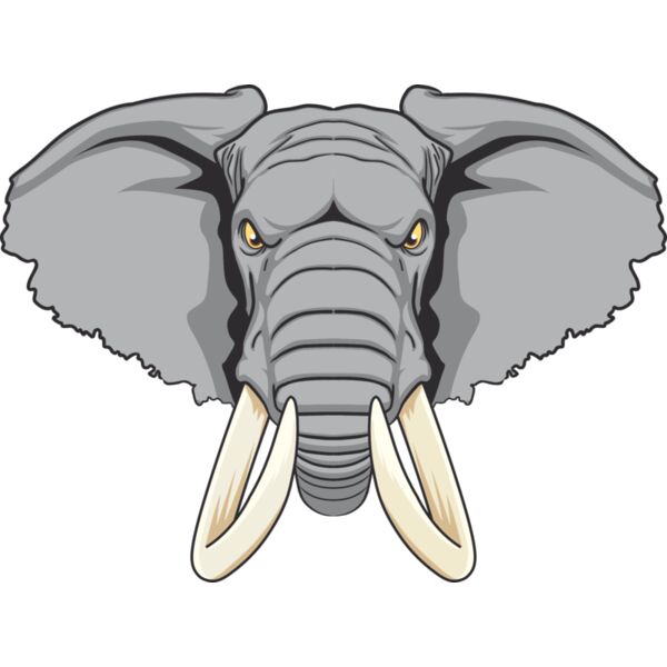 Elephent Head Thumbnail